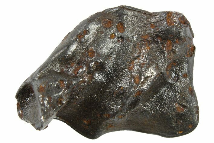 Sikhote-Alin Iron Meteorite ( g) - Russia #266718